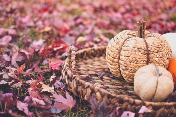 Woven grass pumpkin